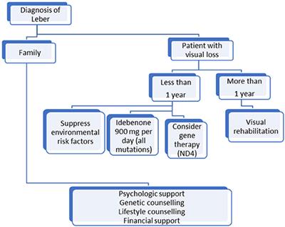 Leber Hereditary Optic Neuropathy: Review of Treatment and Management